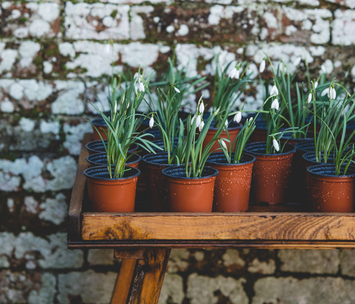 Container gardening