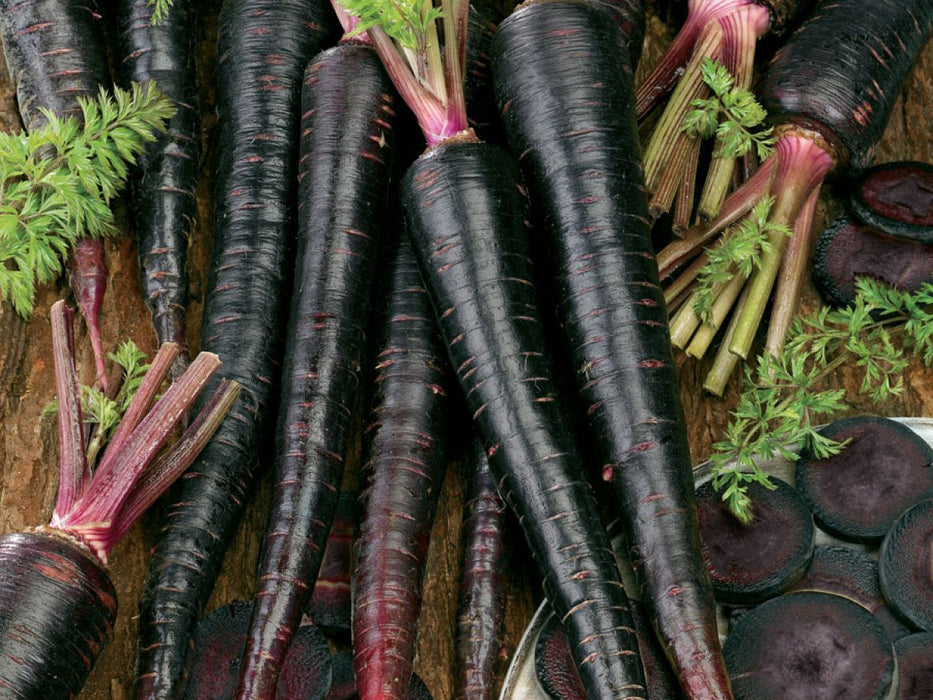 Carrot Black Wonder_Biocarve