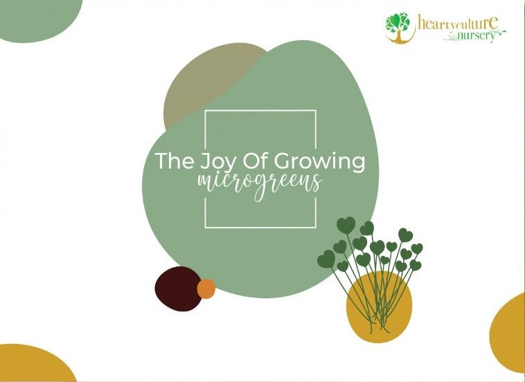 Micro Green Grow Kit