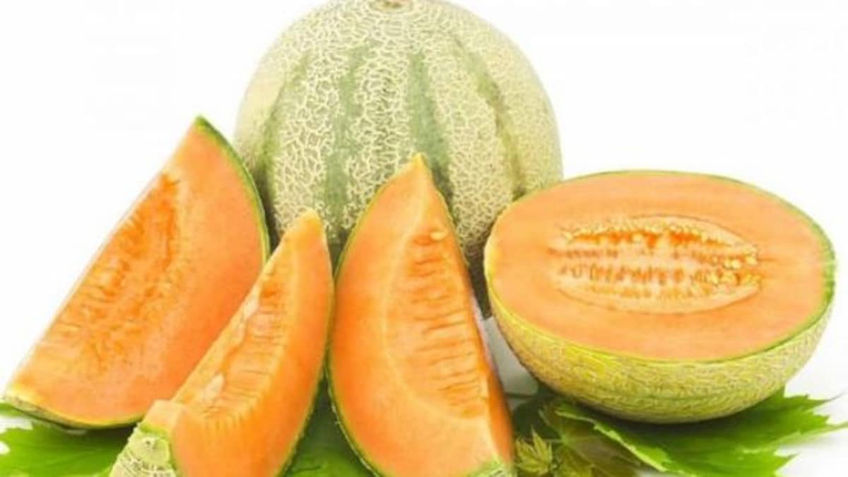 Muskmelon_Biocarve