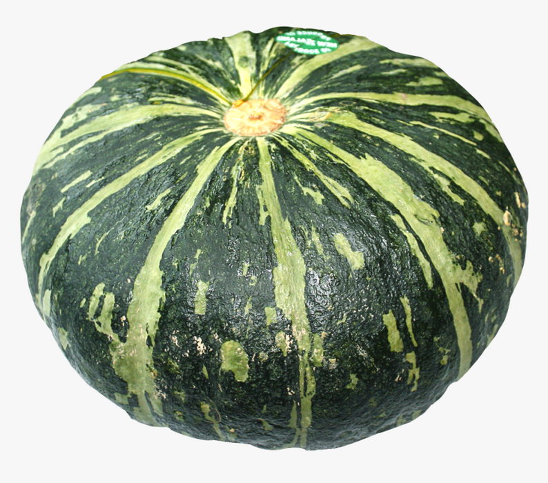 Pumpkin_Biocarve