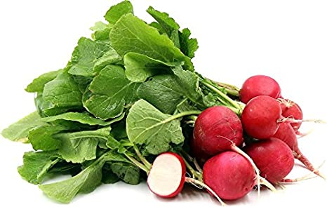 Radish Red Globe_Biocarve