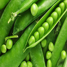 Peas_Biocarve Seeds