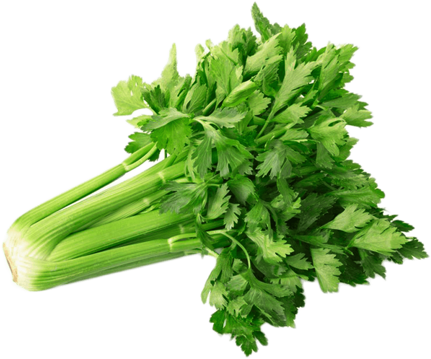 Celery_Biocarve