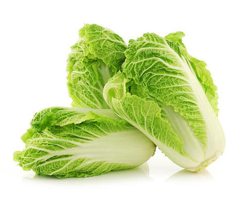 Chinese Cabbage_Biocarve