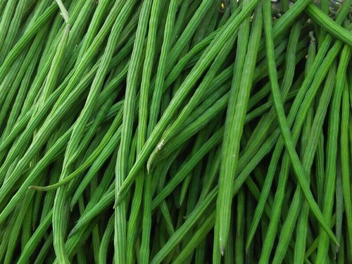 DrumSticks_Biocarve