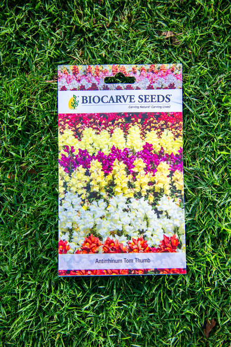 Antirrhinum Tom Thumb MIX / Aster Duchess Formula Mix / Chrysanthemum Carinatum / Nasturtium Mix / African Marigold Hawaii Orange Seeds