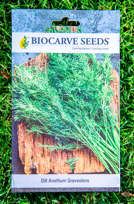 Dill Anethum Graveolens  / Chives  / Okra / Capsicum Purple Bell / Watermelon Sugar Baby / Drumstick / Sponge Gourd Seeds