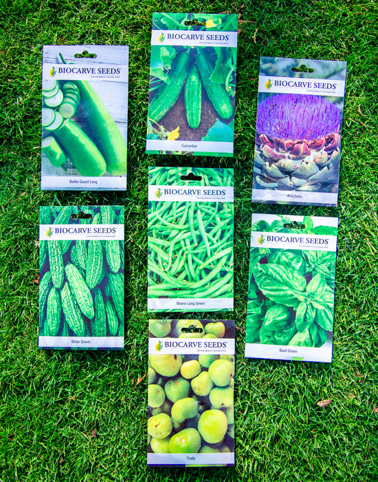 Basil green  / Artichoke / Cucumber / Bottle gourd Long / Bitter gourd  / Beans Long Green / Tinda Seeds