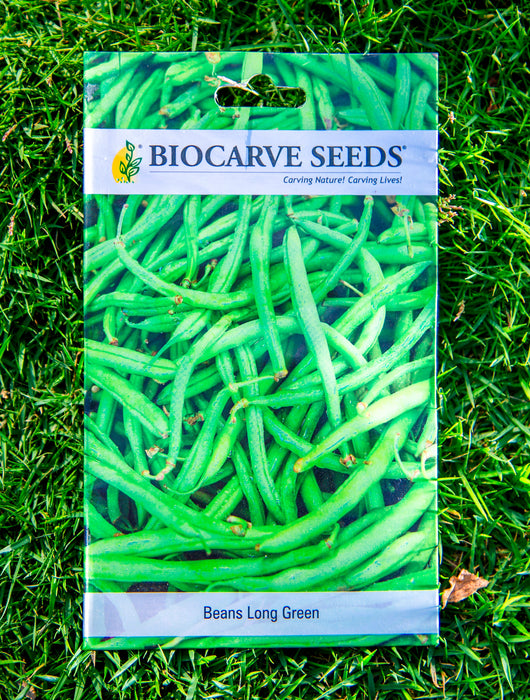 Basil green  / Artichoke / Cucumber / Bottle gourd Long / Bitter gourd  / Beans Long Green / Tinda Seeds