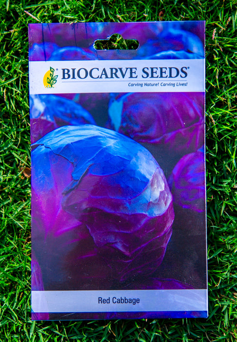 Lemon Basil / Lettuce Batavia / Cherry Tomato / Spinach All Green / Methi (Fenugreek) / Red Cabbage / Radish Red Globe / Lettuce Ice Berg Seeds