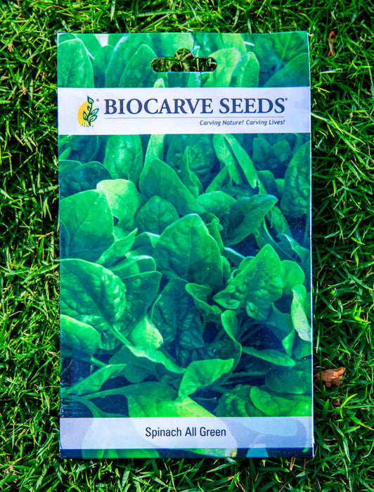 Lemon Basil / Lettuce Batavia / Cherry Tomato / Spinach All Green / Methi (Fenugreek) / Red Cabbage / Radish Red Globe / Lettuce Ice Berg Seeds