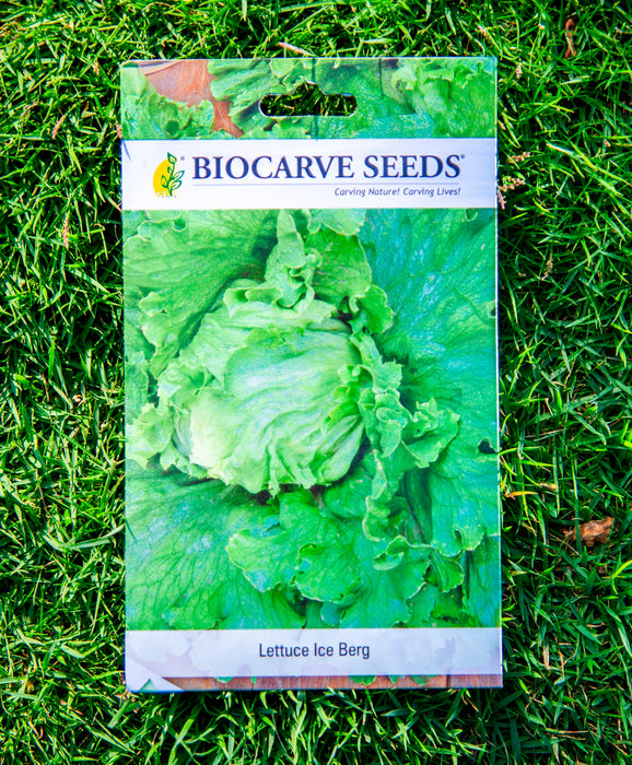 Lemon Basil / Lettuce Batavia / Cherry Tomato / Spinach All Green / Methi (Fenugreek) / Red Cabbage / Radish Red Globe / Lettuce Ice Berg Seeds