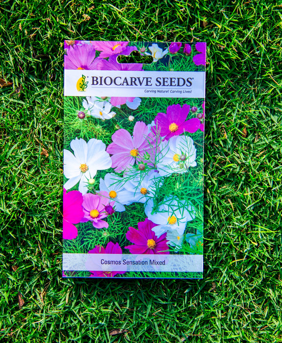 African Marigold Hawaii Orange / Zinnia Liliput Mixed / Celosia Dwarf Cockscomb Mixed  /  Cosmos Sensation Mix / African Marigold F2 White Seeds
