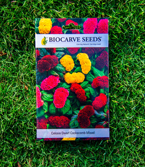 African Marigold Hawaii Orange / Zinnia Liliput Mixed / Celosia Dwarf Cockscomb Mixed  /  Cosmos Sensation Mix / African Marigold F2 White Seeds