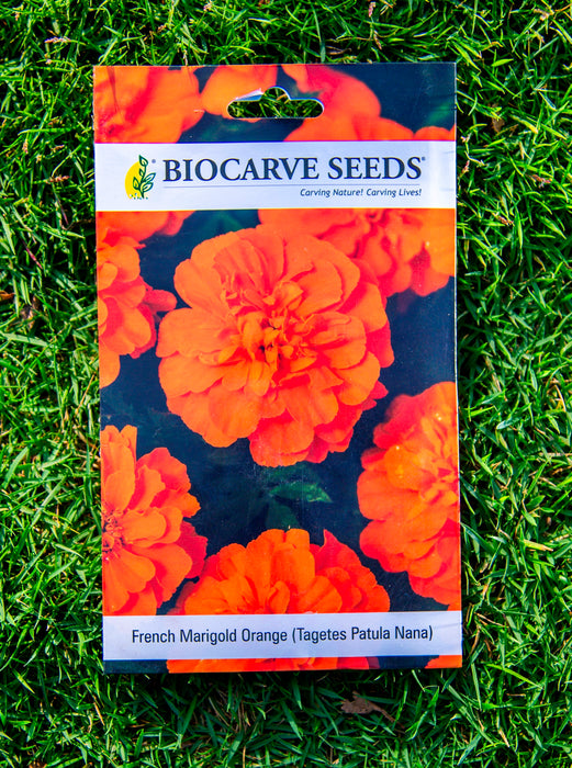 French Marigold Orang / French Marigold Yellow / Zinnia Pulcino Dwarf Mix Seeds
