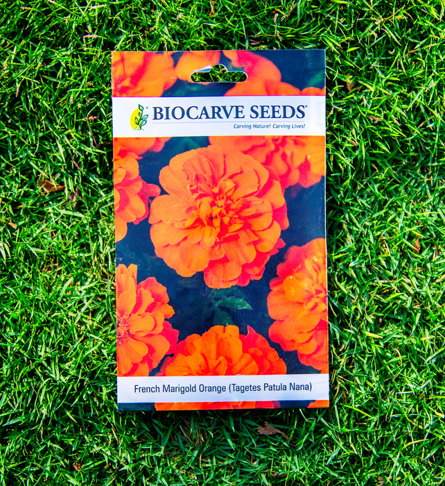 African Marigold Hawaii Orange / Zinnia Liliput Mixed / Celosia Dwarf Cockscomb Mixed  /  Cosmos Sensation Mix / African Marigold F2 White Seeds