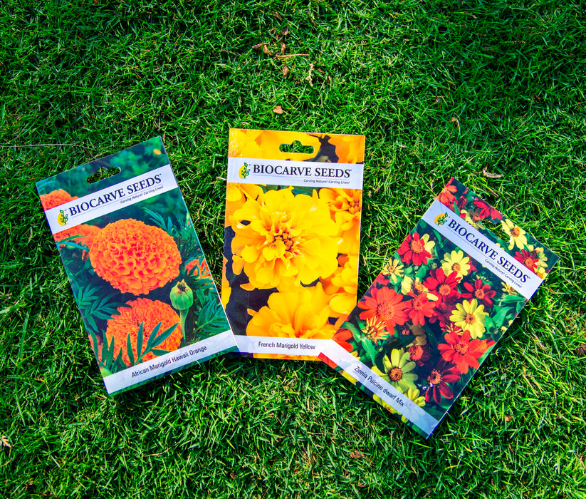 French Marigold Orang / French Marigold Yellow / Zinnia Pulcino Dwarf Mix Seeds