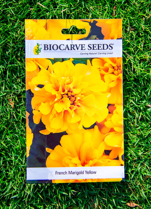 French Marigold Orang / French Marigold Yellow / Zinnia Pulcino Dwarf Mix Seeds