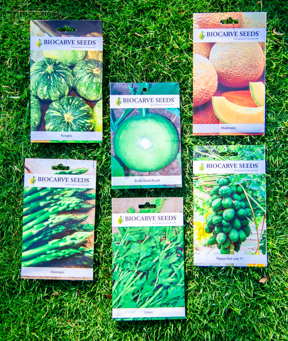 Papaya Red Lady F1 / Asparagus / Celery / Pumpkin / Muskmelon / Bottle Gourd Round Seeds