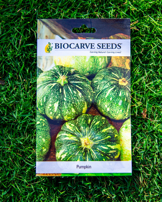 Papaya Red Lady F1 / Asparagus / Celery / Pumpkin / Muskmelon / Bottle Gourd Round Seeds