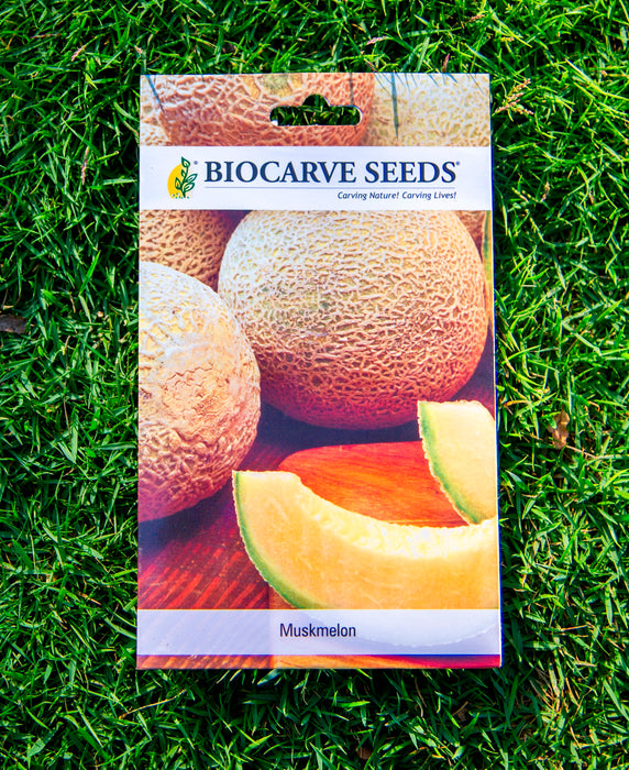 Papaya Red Lady F1 / Asparagus / Celery / Pumpkin / Muskmelon / Bottle Gourd Round Seeds