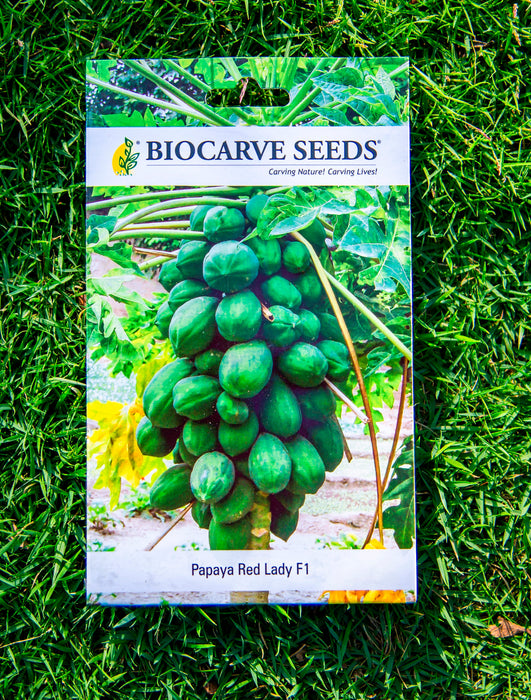 Papaya Red Lady F1 / Asparagus / Celery / Pumpkin / Muskmelon / Bottle Gourd Round Seeds