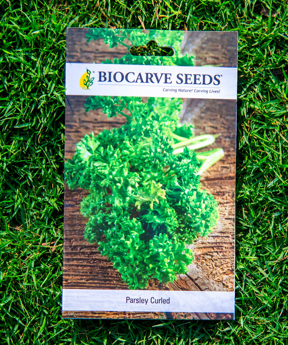 Parsley Curled / Rosemary / Carrot Black Wonder / Cauliflower / Capsicum Purple Bell / Cabbage Golden Acre / Beet Root Seeds