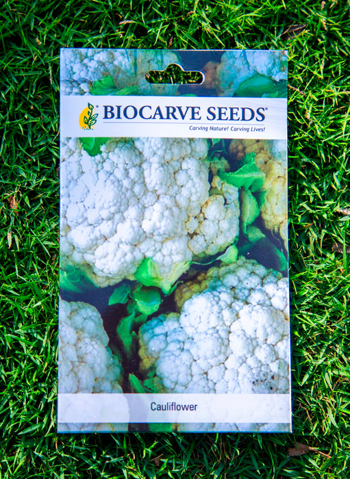 Parsley Curled / Rosemary / Carrot Black Wonder / Cauliflower / Capsicum Purple Bell / Cabbage Golden Acre / Beet Root Seeds