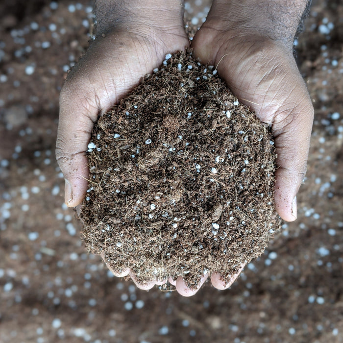 Potting Mixture - Seedling Starter - 900 g