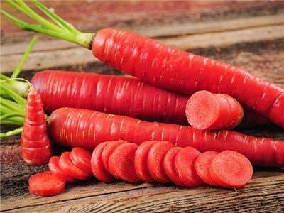 Carrot Red Long_Biocarve