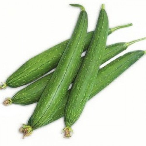 Sponge Gourd_Biocarve